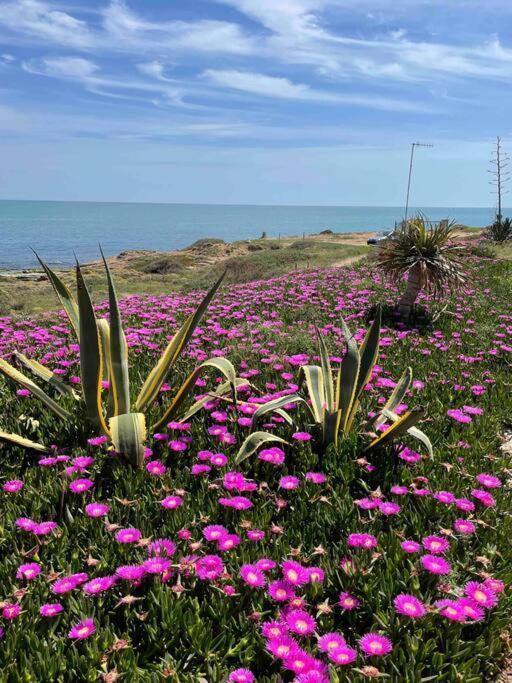 Ferienwohnung Miramar V Torrevieja Kültér fotó